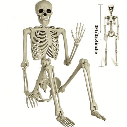 35" Halloween Skeleton Decoration – 3 ft Body with Posable Joints for Indoor & Outdoor Yard Patio Lawn Garden Haunted Party Decor