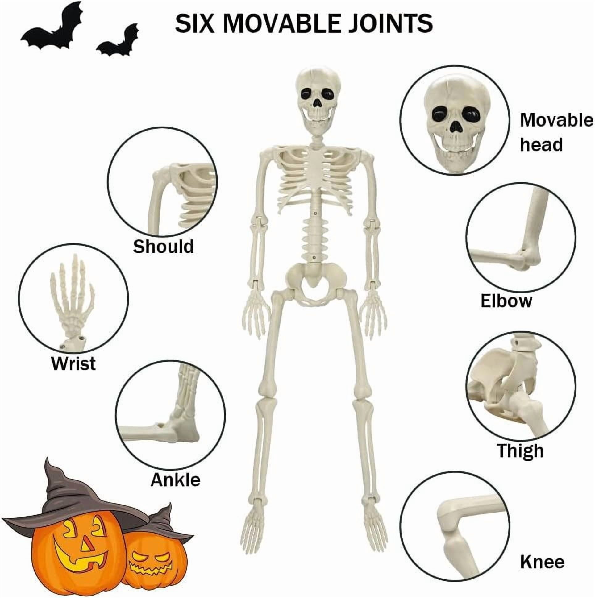 35" Halloween Skeleton Decoration – 3 ft Body with Posable Joints for Indoor & Outdoor Yard Patio Lawn Garden Haunted Party Decor
