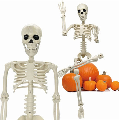 35" Halloween Skeleton Decoration – 3 ft Body with Posable Joints for Indoor & Outdoor Yard Patio Lawn Garden Haunted Party Decor